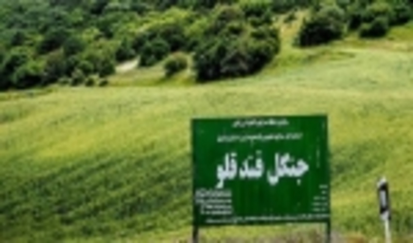 پایش جنگل فندقلو با نصب دوربین مستمر انجام می‌شود