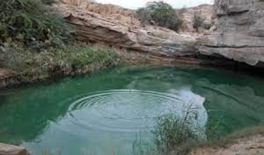 هرمزگان/ ایجاد کمربند سبز و پارک آبخیز در کوهستان پارک پنجه علی