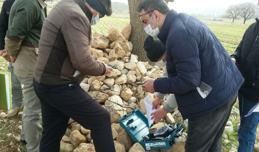 صدور شناسنامه الکترونیکی برای ۵۰ هکتار از درختان جنگلی زاگرس