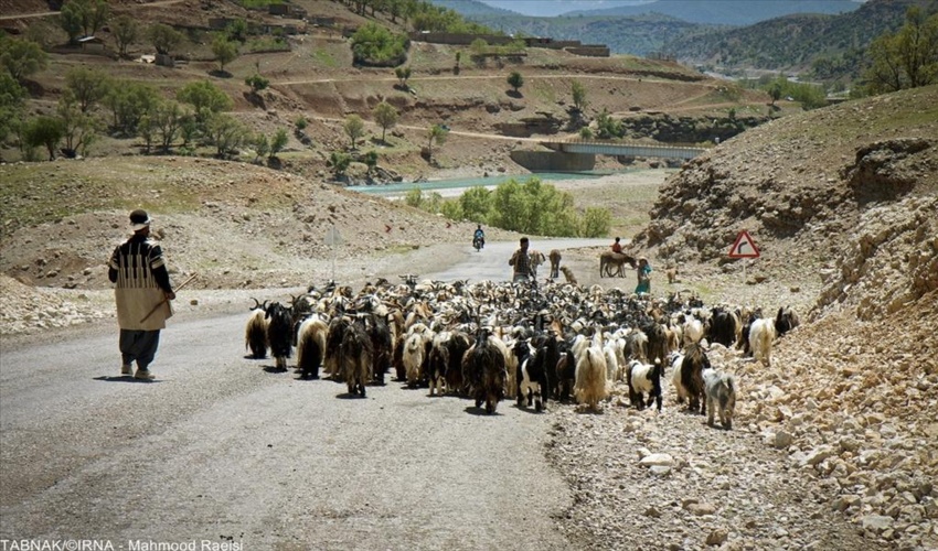 ۶۰گروه بازرسی منابع طبیعی در مسیرهای کوچ عشایر استان‌های زاگرس‌نشین مستقر شدند