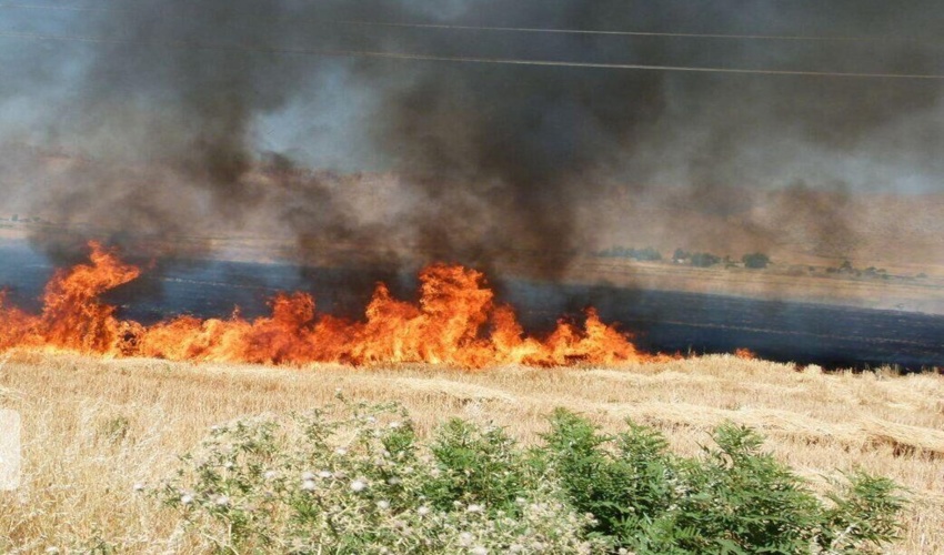 هشدار مدیرکل منابع طبیعی هرمزگان در خصوص خطر آتش سوزی در مراتع 
