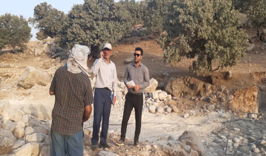 کهگیلویه و بویراحمد/ مبارزه با آفت درختان بلوط نیاز به عزم ملی دارد