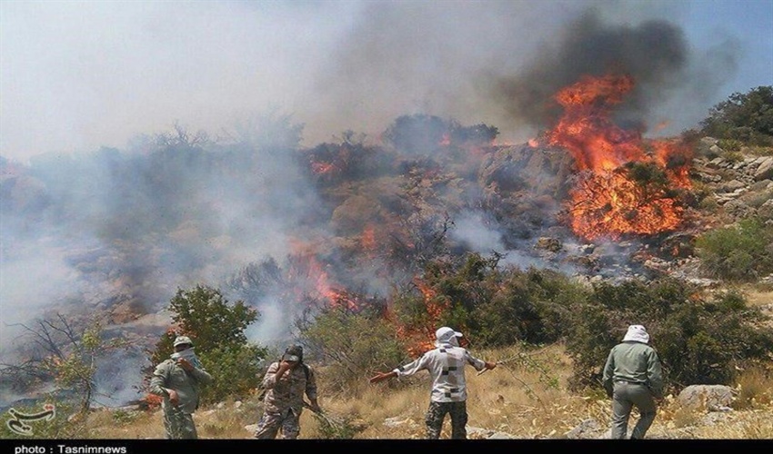 گرمای هوا و احتمال آتش سوزی در گلستان / آماده باش نیروهای منابع طبیعی برای مقابله با حریق