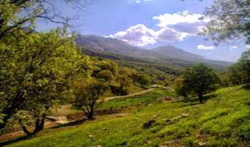 اجرای طرح جنگل داری اجتماعی در سه استان زاگرس نشین