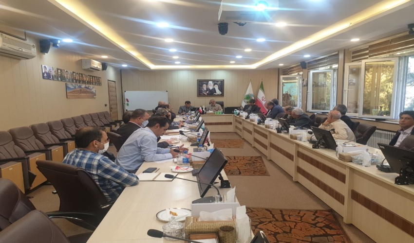 برگزاری جلسه بررسی وضعیت نهالستان‌ها، تولید نهال و تولید بذر در سازمان منابع طبیعی 