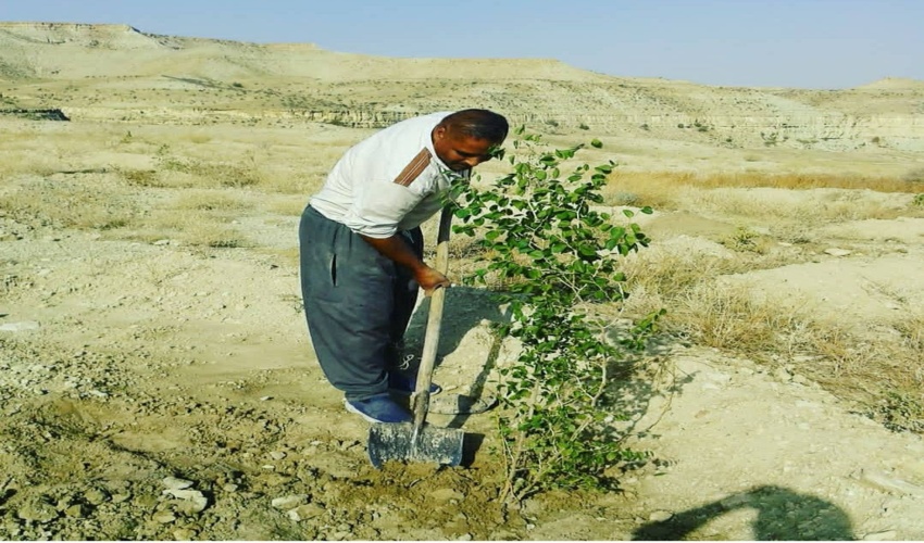 مرتعداری که فعل خواستن را بخوبی صرف کرده است