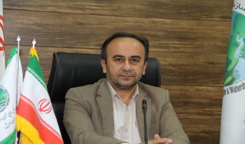 اردبیل/ درختان قطع شده بخشی از درختان مرکز تحقیقات کشاورزی پارس‌آباد بود