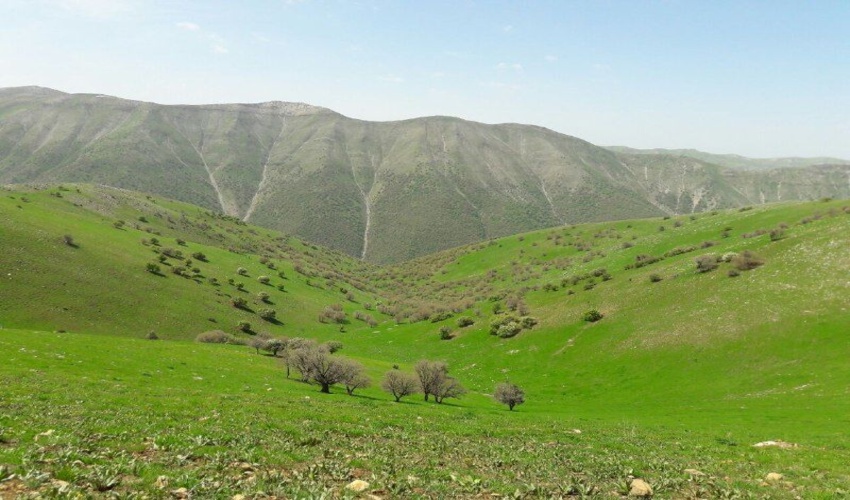 بیش از 314 هزار هکتار از مراتع کهگیلویه و بویراحمد به بهره‌برداران واگذار شد