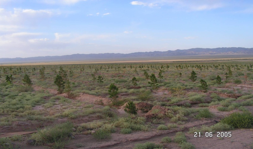 پیگیری 63 پرونده زمین خواری در خراسان جنوبی