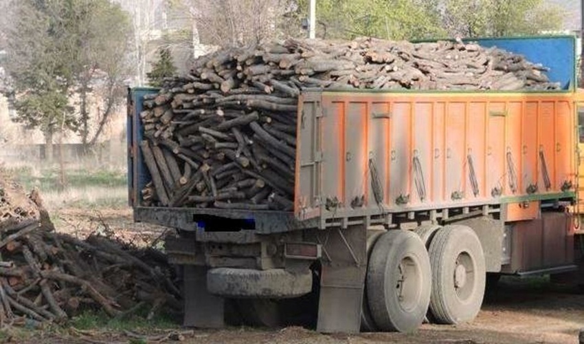 آذربایجان شرقی/ توقیف ۱۷ تن بار قاچاق چوب در تبریز/ با متخلفان مماشات نمی‌کنیم