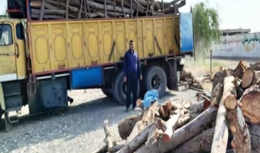 سمنان/ انهدام باند چوب‌های قاچاق در شهرستان شاهرود