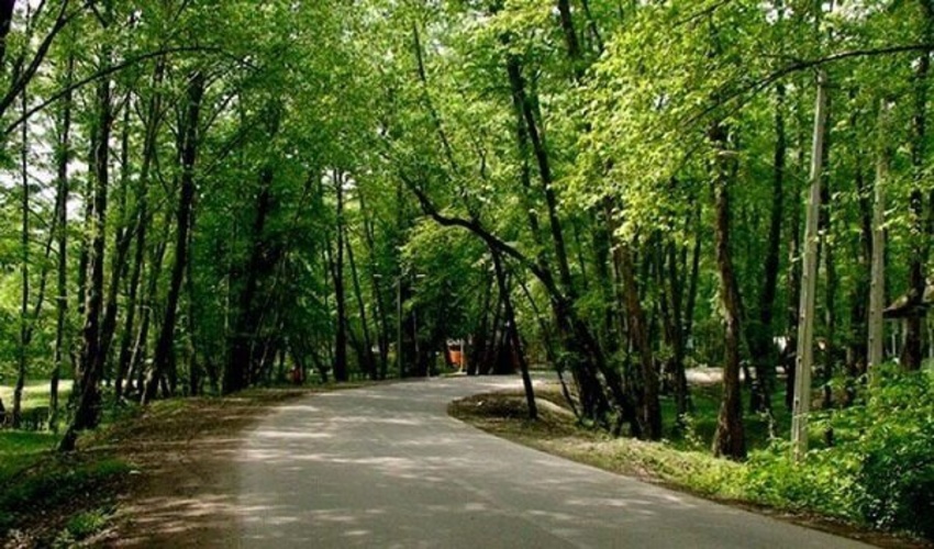 بوشهر/ مدیریت پارک‌های جنگلی استان بوشهر به بخش خصوصی واگذار می‌شود