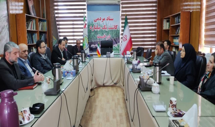 تولید 3 میلیون اصله نهال از ابتدای سال تا کنون در نهالستان های ساری