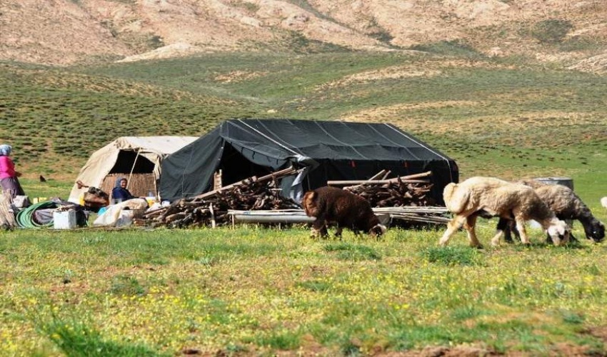 عشایر در طرح‌های مرتع‌داری دارای سرپناه می‌شوند / ورثه مرتع‌داران در انفال سهمی ندارند
