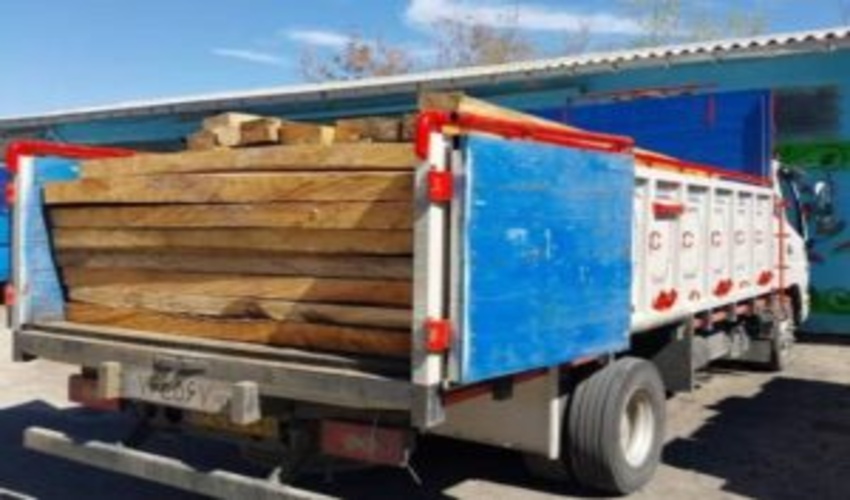 کشف بیش از 180 اصله الوار قاچاق جنگلی در استان اردبیل