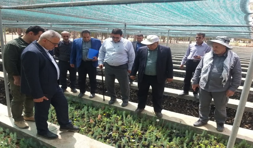 مجری طرح مردمی کاشت یک میلیارد درخت: روند تولید نهال در  منابع طبیعی استان‌ها مطلوب است