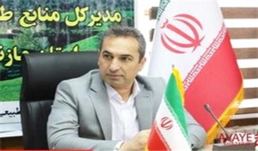 ساری/افزايش دو برابري توليد نهال در نهالستان لاجيم سوادکوه در راستاي طرح مردمي کاشت يک ميليارد درخت