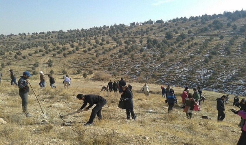 کرمانشاه؛ فعل مردمی شدن منابع طبیعی را بخوبی صرف کرد!