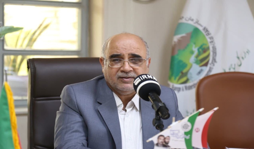 هشدار منابع طبیعی هرمزگان در حفظ جنگل ها با توجه به افزایش دما
