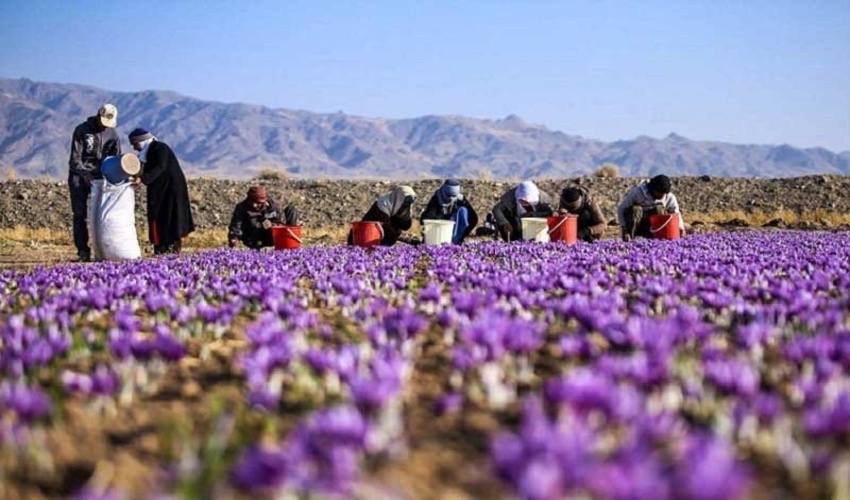 منابع طبیعی؛ پایه و اساس اقتصاد درون زای کشور