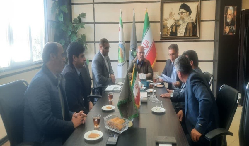 مدیرکل منابع طبیعی ایلام: طرح‌های حفاظتی در منابع طبیعی با نگاه اقتصادی و حمایتی تدوین می شود