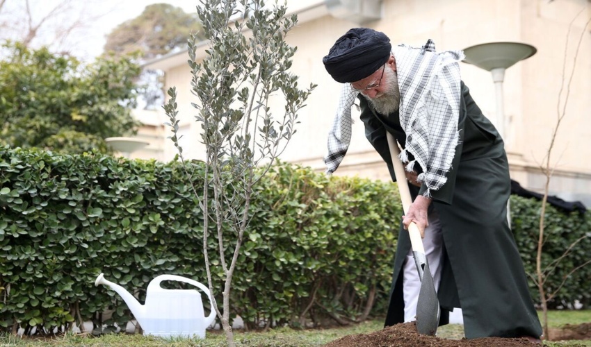 تولید 250 میلیون نهال در سال 1402 ما را به یک میلیارد درخت وعده داده شده نزدیک می کند
