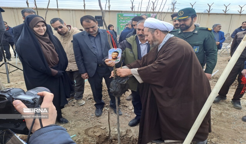 20 هزار نهال در محوطه نیروگاه برق شهید مفتح همدان کاشته شد