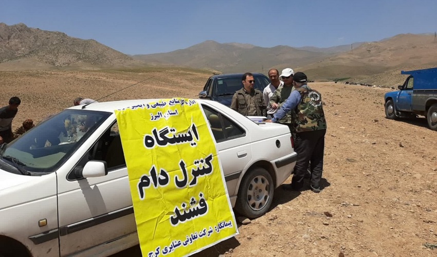البرز/ از ابتدای سال جاری 45 هزار واحد دامی مجوز عبور به سمت مراتع را دریافت کرده اند