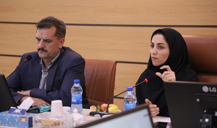تشکیل سومین جلسه کارگروه اصلاح فرایندهای وزارت جهادکشاورزی در سازمان منابع طبیعی 