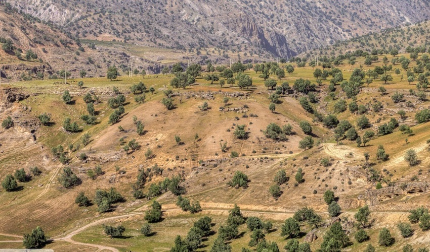 17 ذخیرگاه جنگلی در قزوین ساماندهی شد