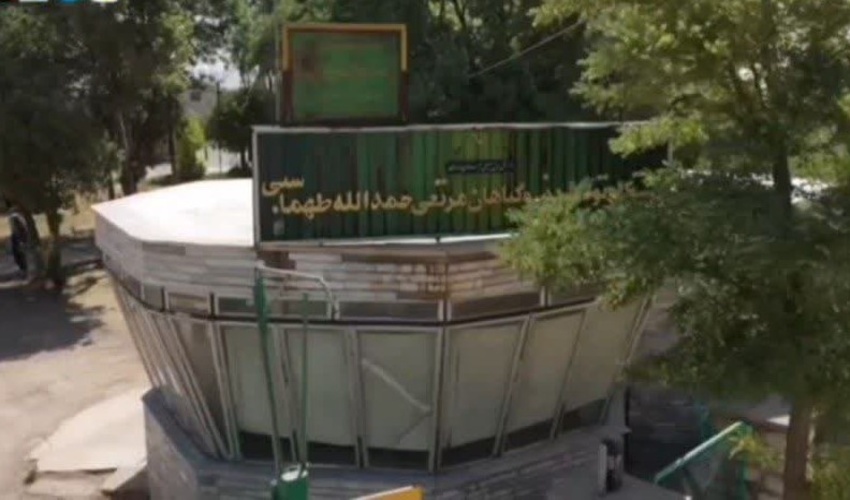 راه اندازی مجدد ایستگاه های تولید بذر گیاهان مرتعی و نقش کلیدی در توسعه منابع طبیعی پایدار 