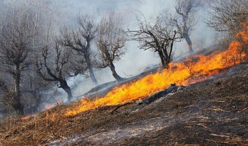 گیلان/ حریق جنگل‌های رودبار مهار شد