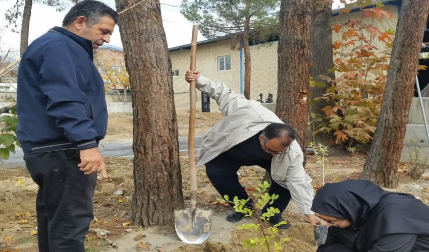 تهران/ کاشت ۱۰۰ اصله نهال به مناسبت هفته بسیج و در راستای طرح مردمی کاشت یک میلیارد درخت