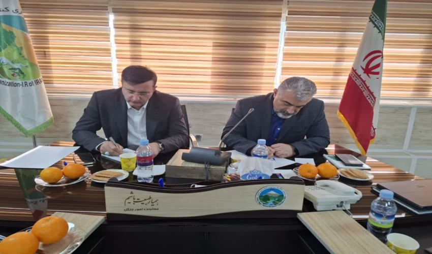طرح مدیریت پایدار جنگل، تفکر اکوسیستمی است