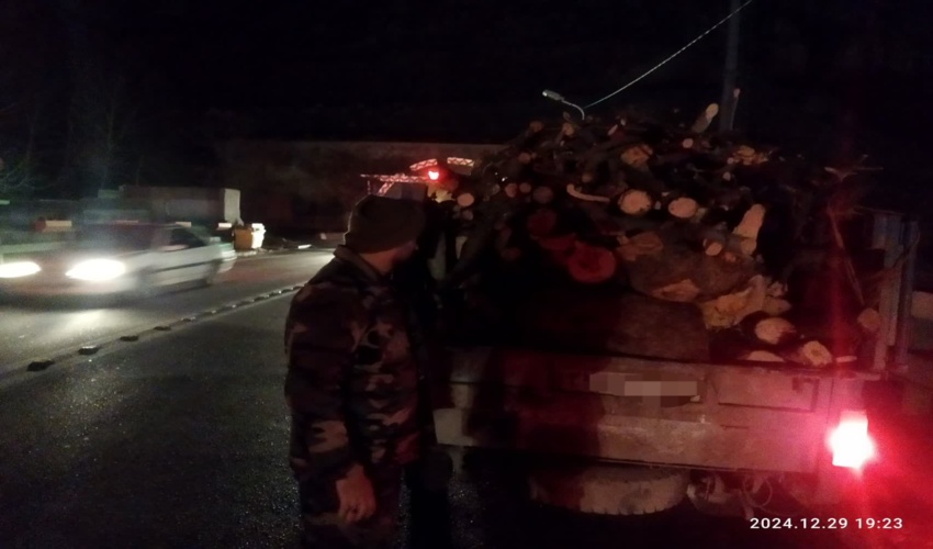کشف محموله قاچاق چوب جنگلی در عملیات گشت یگان حفاظت منابع طبیعی البرز