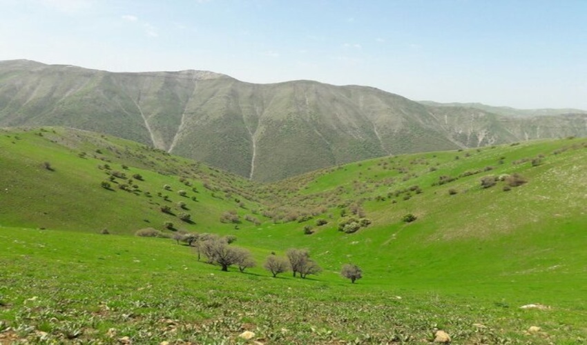 نقش انجمن صنفی مرتعداران در حقوق بهره‌برداران و ارتقاء معیشت و حفاظت از عرصه‌های مرتعی