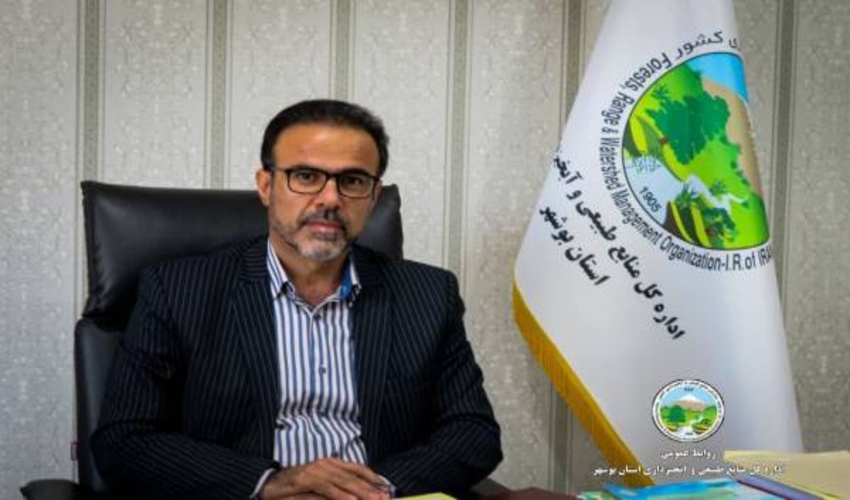 ذخیره بیش از 35 میلیون مترمکعب آب در پشت سازه‌های آبخیزداری استان بوشهر