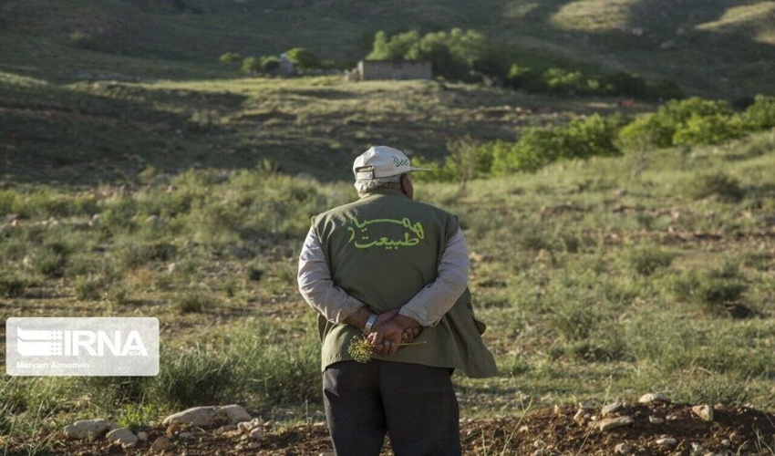 ۱۲ هزار نفر در کردستان همیار طبیعت هستند