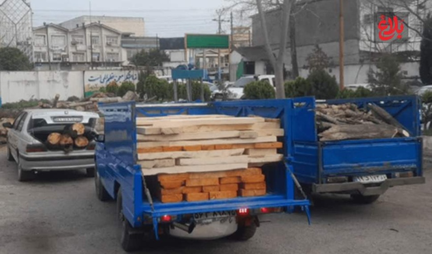 خودروهای حامل چوب قاچاق در آمل توقیف شد