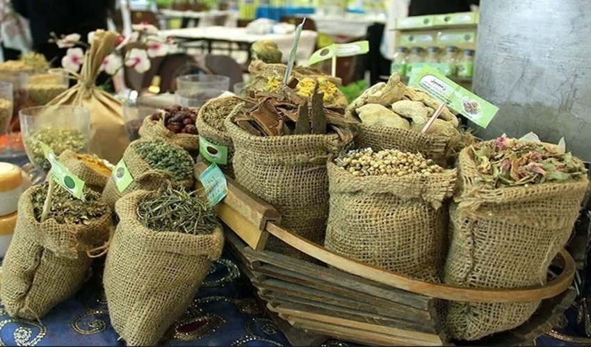 احیا و توسعه 5 هزار هکتار از رویشگاه‌های گیاهان دارویی در خراسان جنوبی
