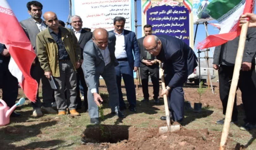 ۱۱۶ هزار نهال سرو ایران در کرمانشاه ریشه دواند