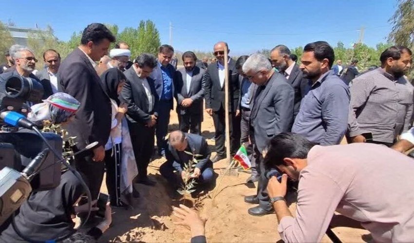 اصفهانی‌ها در پویش سرو ایران 60 هزار اصله نهال کاشتند