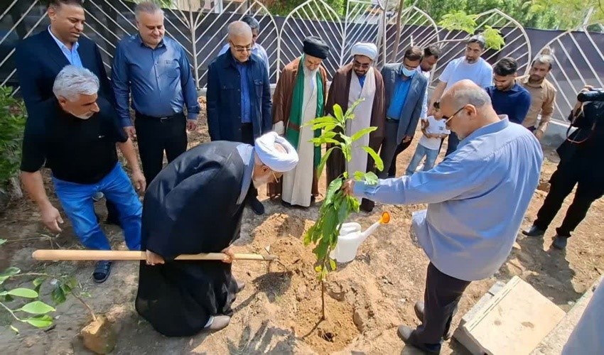 مشارکت مردم در کاشت درختان مثمر، تجلی عمل به منویات رهبری است