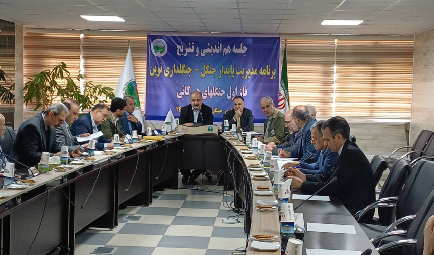اساتید دانشگاه بر مدیریت جنگل و اجرای طرح جنگلداری نوین تأکید کردند