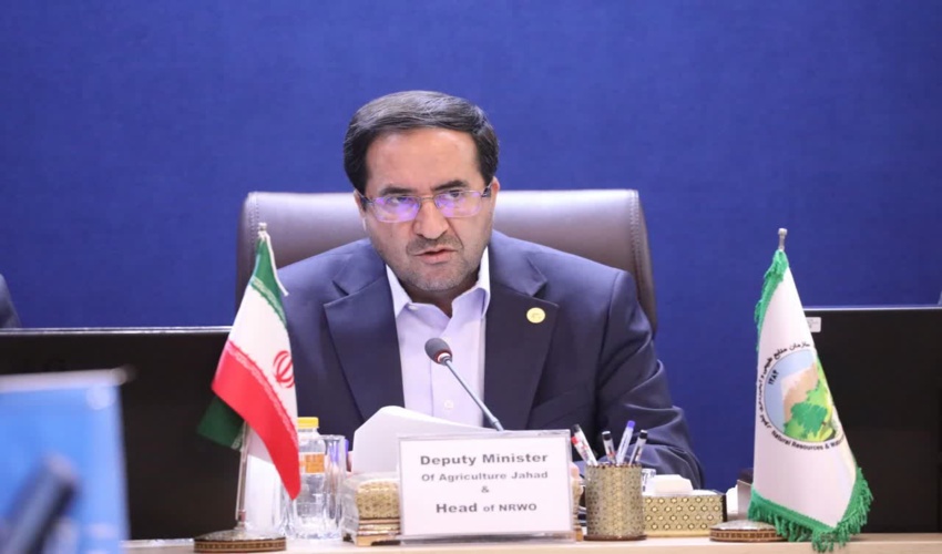 دکتر افلاطونی: حمله به سازمان منابع طبیعی، نقض آشکار حقوق بشر است