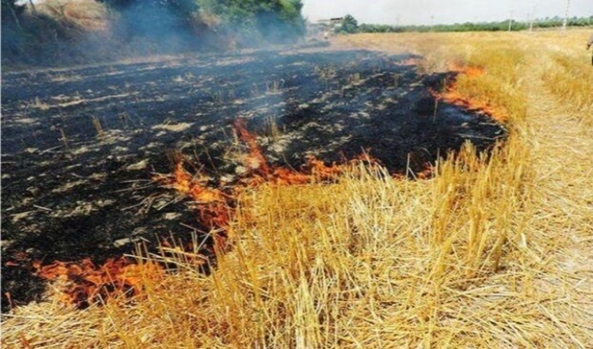 مدیرکل منابع طبیعی هرمزگان هشدار داد: آتش‌زدن بقایای گیاهی و کاه و کلش جرم است