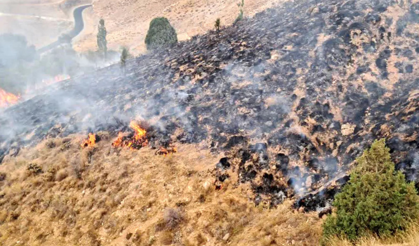 مهار آتش‌سوزی در ارتفاعات کازرون و کوهمره سرخی شیراز