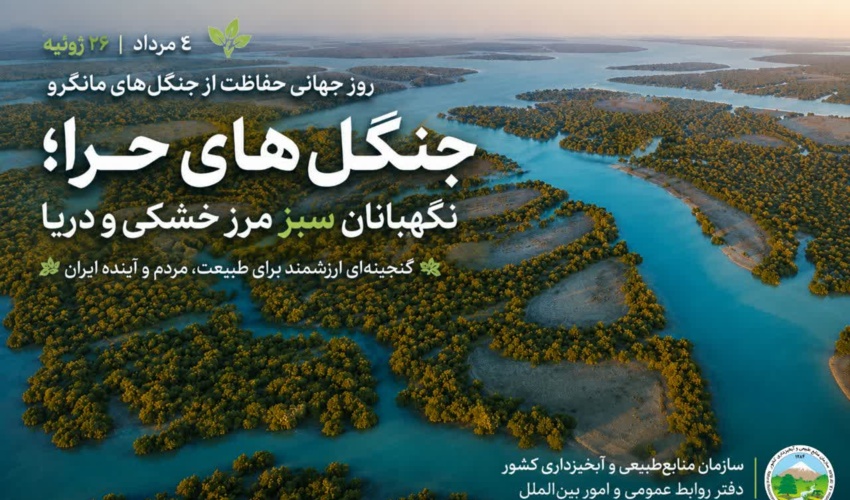 جنگلهای مانگرو ایران؛ گنجینهای سبز در مرز خشکی و دریا