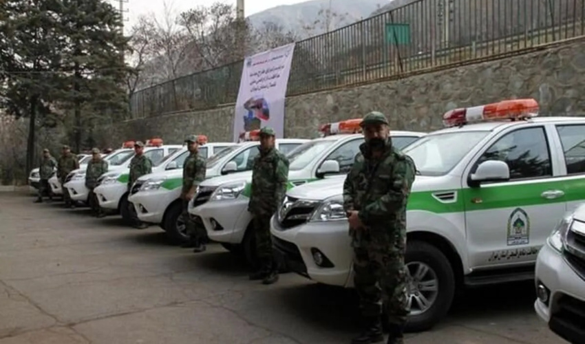 جنگلبان؛ نگهبان حافظه سبز سرزمین
