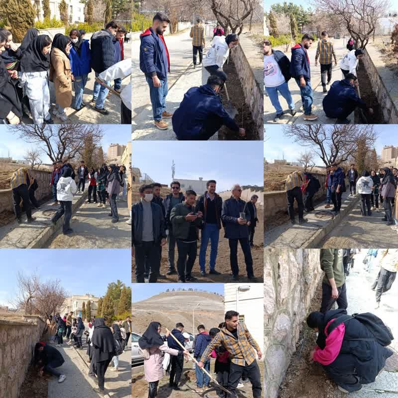 روز درختکاری روز درختکاری